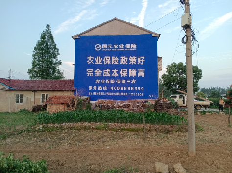  天长墙体广告为何受追捧？